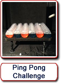 Ping Pong Challenge