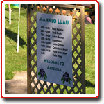 Luau schedule